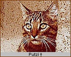 Fritzi