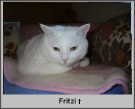 Fritzi